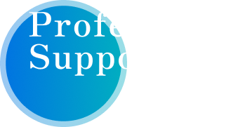 Professional Support
